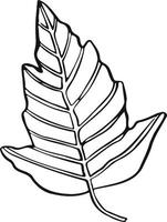 Leaf plant tree line drawing illustration symbol vector