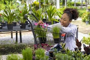 un joven cliente africano está eligiendo una planta exótica del vivero del centro de jardinería local con un carrito de compras lleno de plantas de verano para la jardinería de fin de semana y actividades al aire libre foto