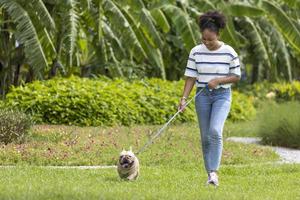 African American woman is walking with her french bulldog puppy in the dog park at grass lawn after having morning exercise during summer photo