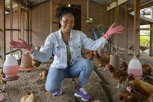 African American farmer is showing organic eggs from hen house coop which using free range technique photo