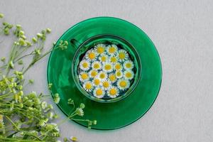 Daisy in a green cup with a saucer surrounded by flowers. Summer, warm. Beautiful picture photo