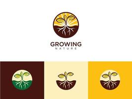 Seed Grow Logo Vector Illustration. Park Seed Vegetable, Flower Seed Plant