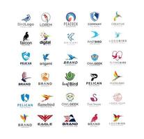 Big Set of bird logo template creative abstract collection vector