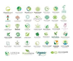 Big Set of nature logo design template leaf combined Illustration collection vector