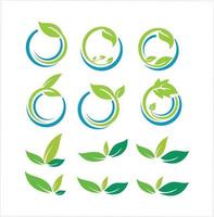 Set of green Leaf design element vector