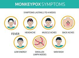 infografía de los síntomas del brote del virus de la viruela del mono organización mundial de la salud. fiebre, dolor de cabeza, dolores, sarpullido... personas infectadas que se propagan del mono. diseño plano con iconos vector