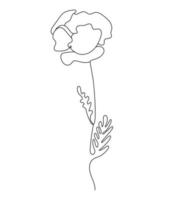 Poppy flower. Linear hand drawn minimalist drawing, continuous line. Vector illustration. Outline plant flower.