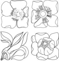 Set of floral elements. One line hand drawn illustration isolate on white vector