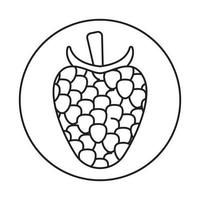 Rounded the raspberry fruit line art icon for apps and websites vector