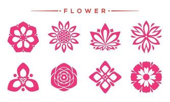 Pink flower vector collection