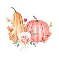 Hand drawn watercolor pumpkins, autumn illustration vector