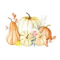 Watercolor floral composition. Hand painted pumpkins vector