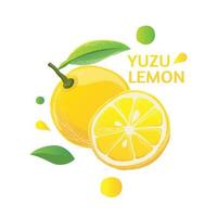 ilustración de vector de limón yuzu fresco