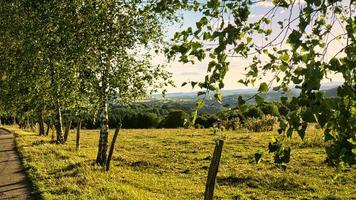 A sunny day in the Saarland with a view over meadows into the valley. Birch and fence in the foreground photo