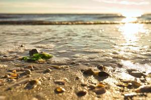 Sunset on the beach of Blavand in Denmark. Walking in the evening in great light atmosphere photo