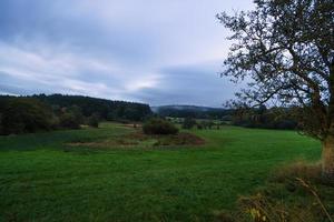 In Saarland forests, meadows and solitary trees in autumn look. photo