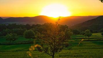 puesta de sol en el sarre en un prado con árboles y vistas al valle foto