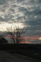 Setting sun on the outskirts of Berlin. The sky seems to burn photo