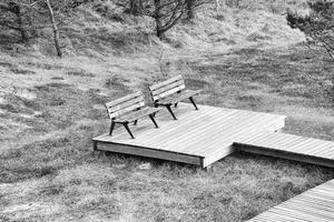Wooden walkway in black and white with bench at high dune on darss. National Park photo