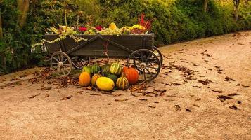 el otoño es tiempo de cosecha de calabaza y otras verduras. carro de madera decorado foto