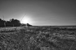 View over the beach to the Baltic Sea at sunset. photo