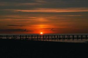 sunset in Zingst at the sea. red orange sun sets on the horizon. Seagulls circle in the sky photo