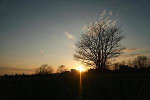 Setting sun on the outskirts of Berlin. The sky seems to burn photo