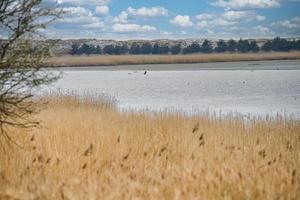 Bird lookout Pramort on the darss. wide landscape with view to the bodden and the baltic sea photo
