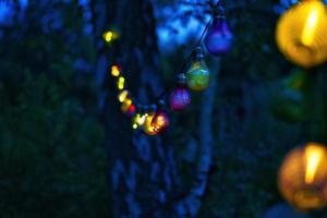 cadena de luces colgando del árbol. fiesta de jardin. Lugar romantico. luz de colores foto