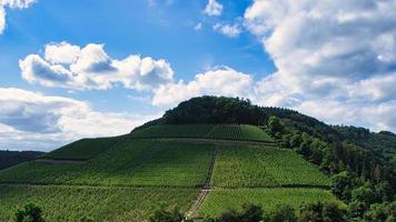 Vineyards in Saarburg in Saarland. View of the vineyards photo