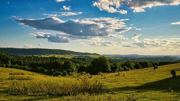 un día soleado en el sarre con vistas a los prados del valle. algunas nubes de sol en el cielo y vacas pastando foto