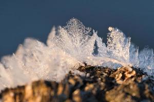 Ice crystals that have formed on a tree trunk and have grown in height. photo