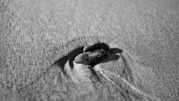 piedra en forma de corazón en la arena de la playa en el mar báltico en blanco y negro. foto