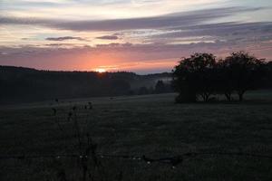 sol naciente en el prado brumoso por la mañana en el sarre foto