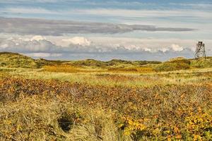 on the coast of Blavand Denmark. View over the dunes photo