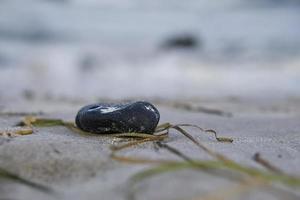 Flint on the stand of the Baltic Sea with seaweed. photo