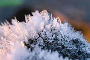 Ice crystals that have formed on a tree trunk and have grown in height. photo