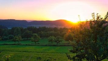 puesta de sol en el sarre en un prado con árboles y vistas al valle foto