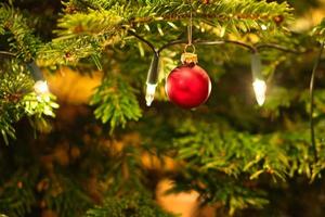 Christmas. Christmas decoration. red christmas ball hanging on christmas tree photo