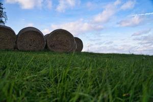 Straw bales tied in a meadow photo