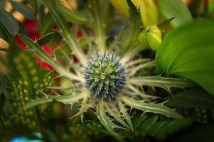 Thistle bud in a bouquet of flowers. Spiny bud before blooming. Flowers photo. photo