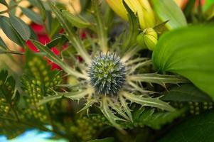 Thistle bud in a bouquet of flowers. Spiny bud before blooming. Flowers photo. photo