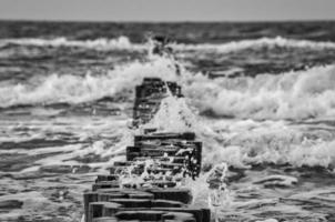 espigones en la playa del mar báltico en zingst. las olas rompen en la madera foto