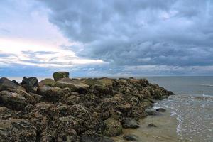 espigones de piedra que van al mar en la playa en blavand dinamarca. foto del paisaje