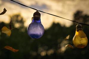String of lights in bulb shape. Garden party or relaxing evening outdoors. Light mood with bokeh
