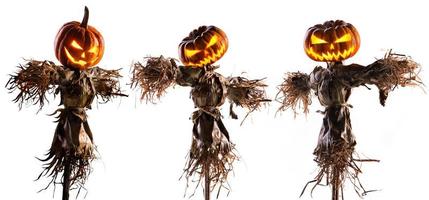halloween pumpkin scarecrow isolated on white background photo