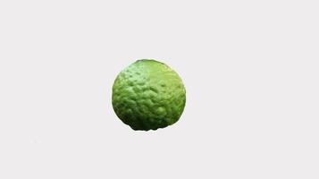 Citrus hystrix, called the kaffir lime or makrut lime,  is a citrus fruit native to tropical Southeast Asia. Kaffir lime with isolated white background. photo