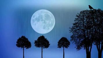 luna piena, alberi, uccelli, pioggia, silhouette art video
