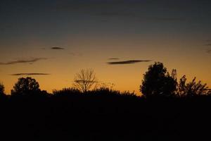 puesta de sol con cielo ardiente detrás de los árboles. foto