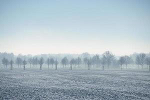 Winter landscape with trees and field in frosty cold christmas time. photo